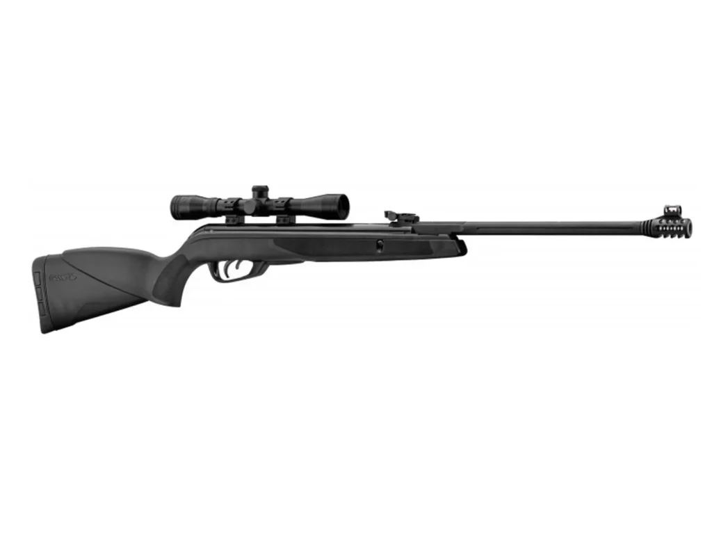 gamo black bear